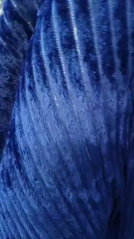 #fbyツ #maxfuud #online 