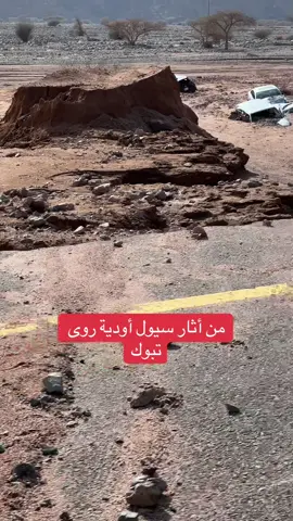 #تبوك_الورد_تبوك_تيماء_ضباء_حقل #حقل_علقان_تبوك_نيوم_الشمال #بجده_علقان_حقل_السرو_نعمي_جبل_اللوز #explore #اكسبلورexplore 