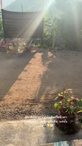 #วันนี้ในอดีต 