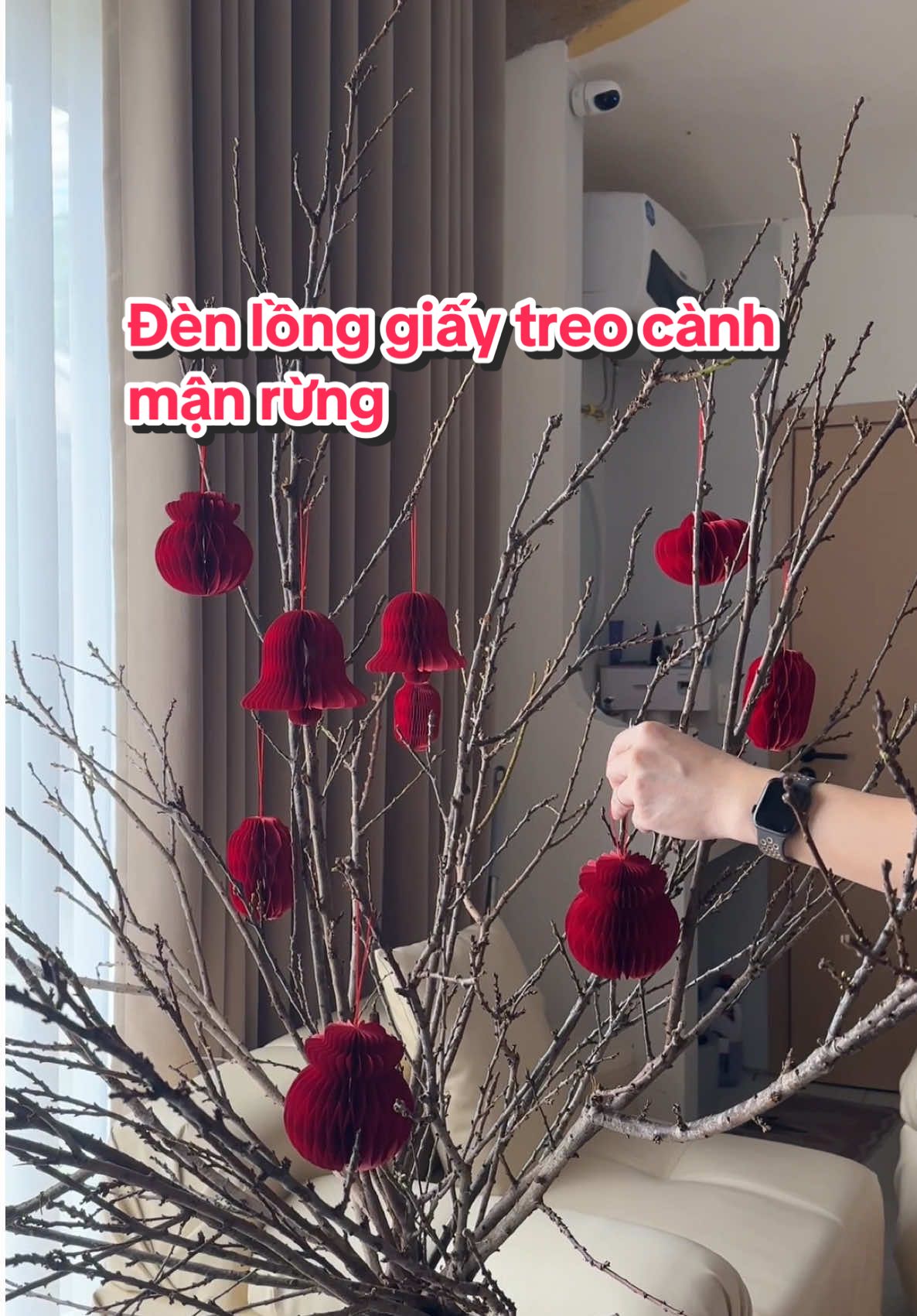 Năm nào cũng mua đi mua lại đèn lồng vì nhanh hỏng thì năm nay các bác thử ngay mẫu này nhé ạ, vừa sang vừa đẹp #tết2026 #decor #LearnOnTikTok #trangtrinhacua #noel 