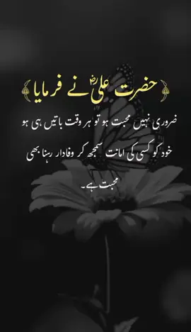 Hazrat Ali ny farmaya 🥀✨#1millionaudition #foryoupage❤️❤️ #islamicvideo #asthetic 