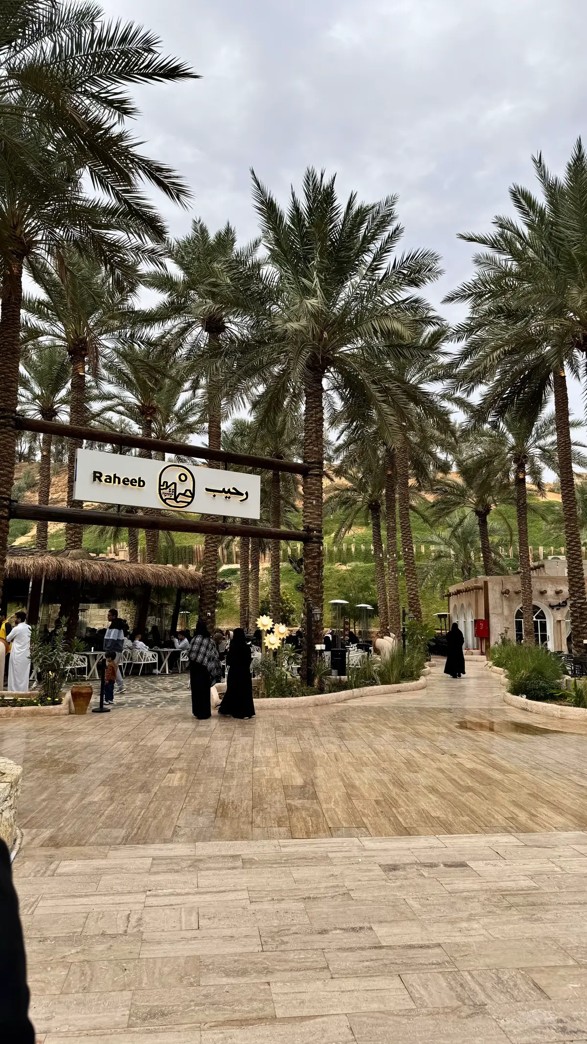 #اكسبلورexplore #صباح_الخير #القصيم_بريده #نخلا#fyp 