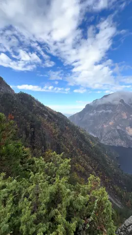 Şairin “Gökyüzü ciğerime doluyor”dediği…🌳