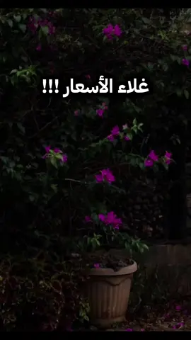 غلاء الأسعار  #الشيخ_صالح_الفوزان_حفظه_الله #مصراتة_طرابلس_بنغازي_زليتن_الخمس_الزاويه #ليبيا #مصراتة #بنغازي 