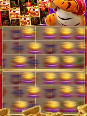 Espectáculo de Fogos: Vida e Sonhos Unidos