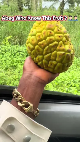 Please What’s the name of this fruit ? If you have eating it before kindly let us know how it taste  #trending #skitorover #mosquito 