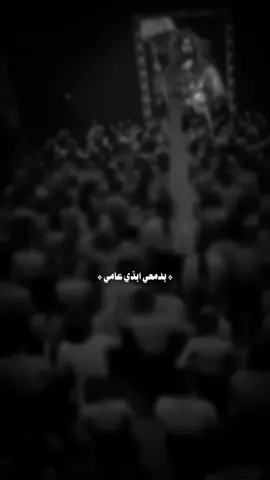 يا فرح يا ضأمي💔.#مجتبى_الكعبي #سيد_سلام_الحسيني #سيد_فاقد #عباس_عجيد_العامري #باسم_الكربلائي 