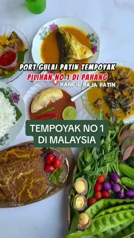 Kancil Raja Patin memang otai bab patin ni…resepi masakan tempoyak takada di tempat lain #cookingtiktok #patintempoyak #sedapsangat #makananviral #foodhunting 