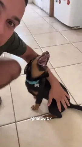 Nem faz drama #foryou 