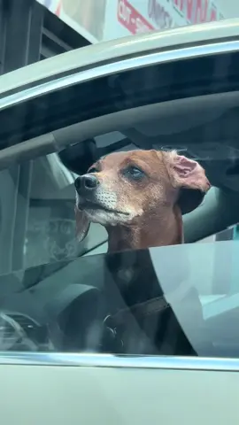 Akekho ongakhali  #fyp 