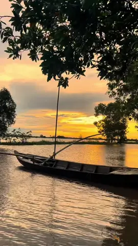 Con nước chiều đầy vơi. #xuhuong #mientay #mientayquetoi 