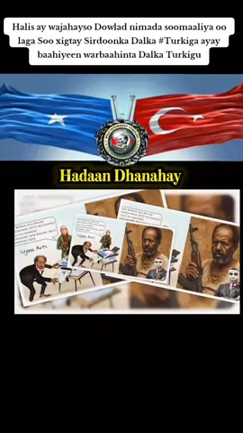 Halis ay wajahayso Dowlad nimada soomaaliya oo laga Soo xigtay Sirdoonka Dalka #Turkiga ayay baahiyeen warbaahinta Dalka Turkigu Warbixintan waxaa sii daadayay Talefishinka #knn 