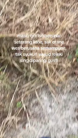 disyukuri wae😇 #puspitaaudio #soundviral #demak24jam⚡ #demakbagianhoreg 