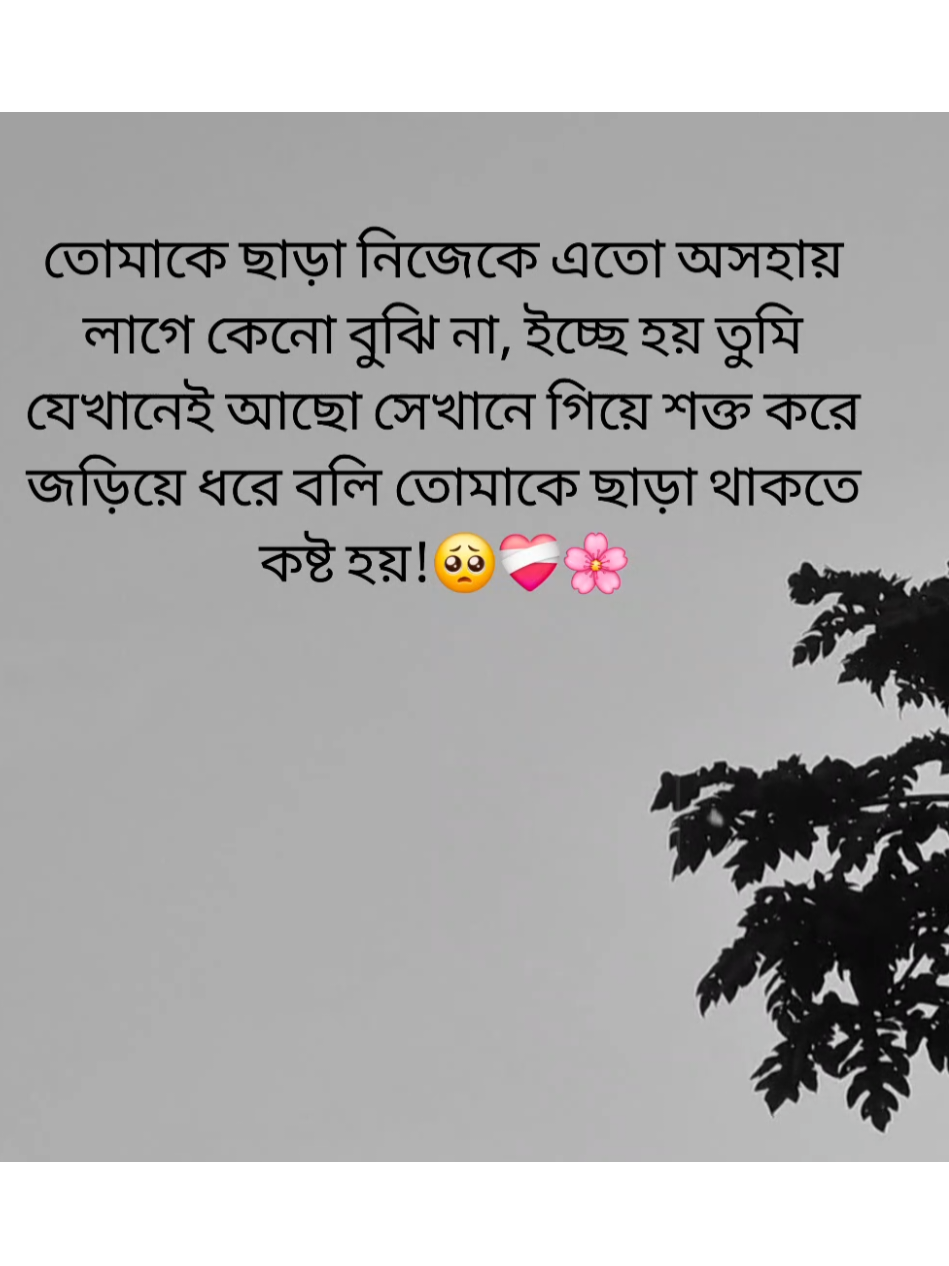 🥺❤️‍🩹🌸 #foryou #its_your_asraful_02 #fyp #tiktokviral #unfrezzmyaccount 