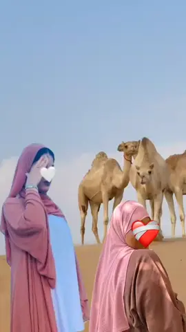 #الغبرون كلوانا في الماتو الطلقو  #اهل_الباديه_اهل_جغلا_العز_تعالو_قريب #محمدحمدان_دقلو❤️🔥😎خط_احمر #الشھداء_ذكرى_لا_ينساھا_الجميع 