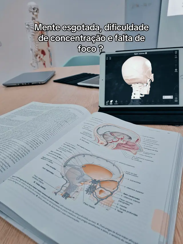 #tranquilidade #ansiedade #focomental #estudo #cortisol 