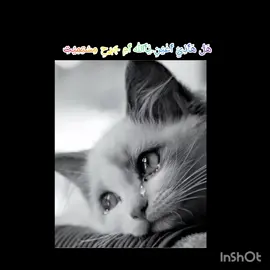 نحاول نخبي ما في داخلنه لكن عيوننا تفظح كل شيء 🥀💔#خيانه_غدر_فراق_حزن💔 #خذلان_خيبة_وجع  #خربشات_فتاة_مختلفة_عن_المجتمع 