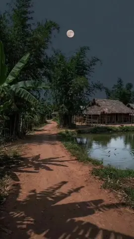 #binhyen #langque #xuhướng 