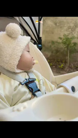 #CapCut  tự nhiên bị lười😆