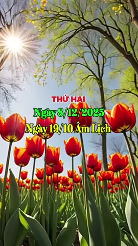 Chào Ngày Mới #ngaymoivuive 