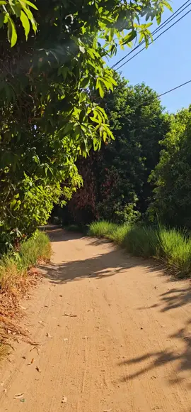 معتصم ابراهيم نوري الولايه الشماليه #شوايقه💚السودان_مروي_الخرطوم_بحري_امدر #شوايقه_والبلد_رايقه #الشماليه_مروي_الدبه_دنقلا_شوايقه_بديريه 