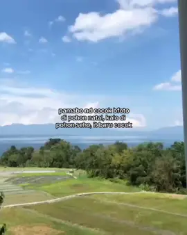 pohong seho is the best🤣 #fyp #sangihetiktok #sangihemaketi #sanger 