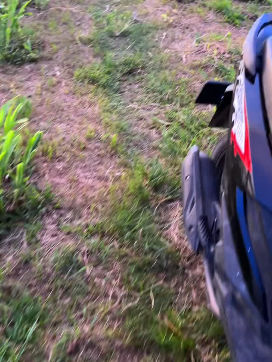 i like this side of tiktok. #peace #nature #sunsetlover #sunsetvibes #sunsetview #itssnowinglikeitstheendoftheworld