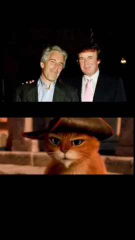 #эпштейн #epstein #jeffreyepstein #einstein #эйнштейн #pussinboots #котвсапогах