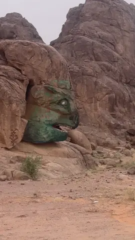 #الشعب_الصيني_ماله_حل😂😂 