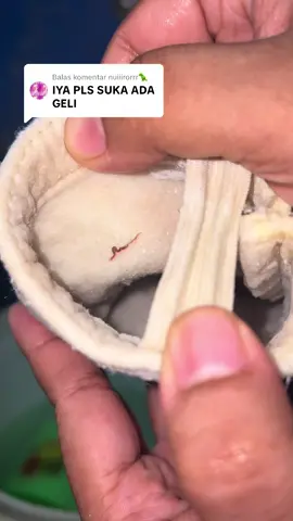 Membalas @nuiiirorrr🦖  geli banget kan kak #filterair #penyaringair #saringanair #cacing #filterairkeran 