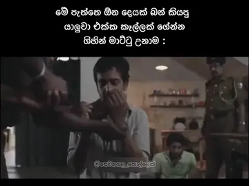 #sewanagala_kollek 😌🌚