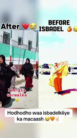 Hodhodho x😂😂😂😂#somalitiktok #samaroon #viewsproblem #fyp #boorama 