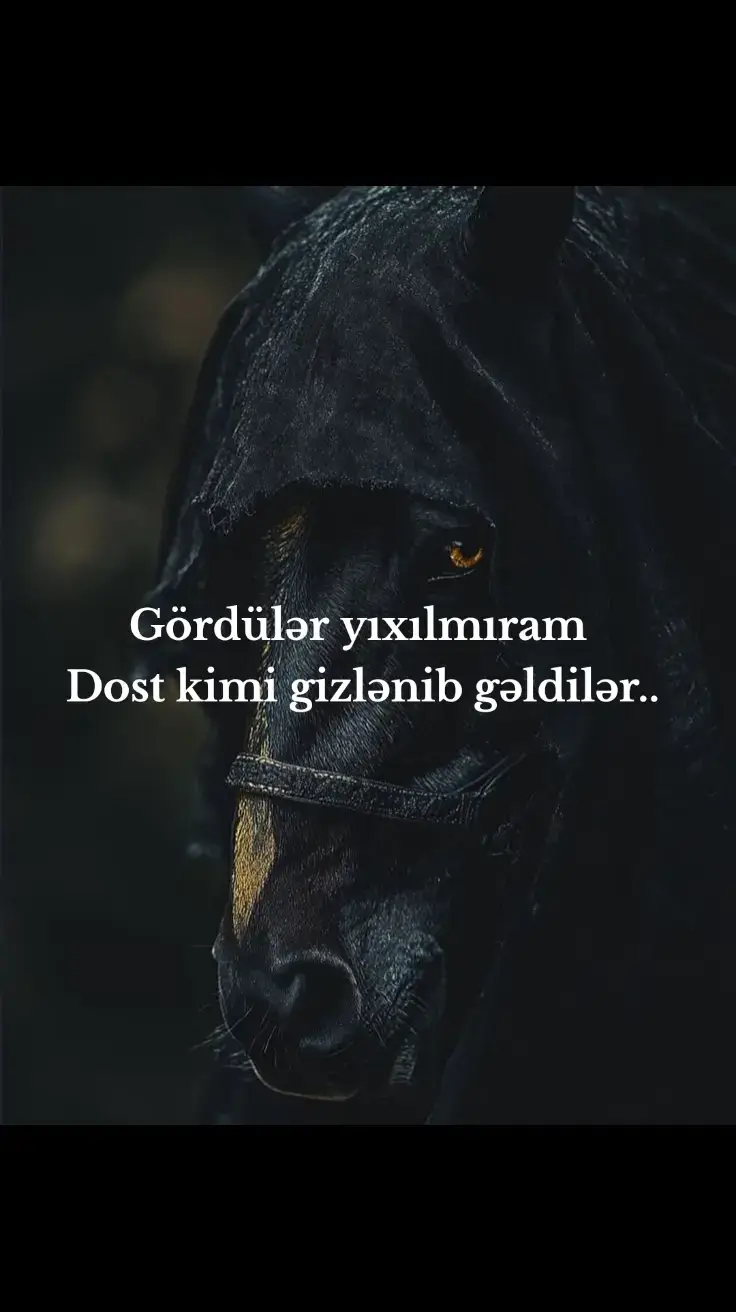 #keşfet #fy #fyppppppppppppppppppppppp 