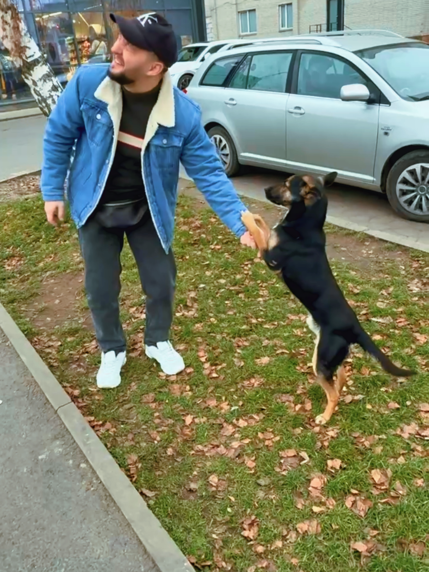 #собаки #рек #тіктокукраїна #назарянбожик #кавер 