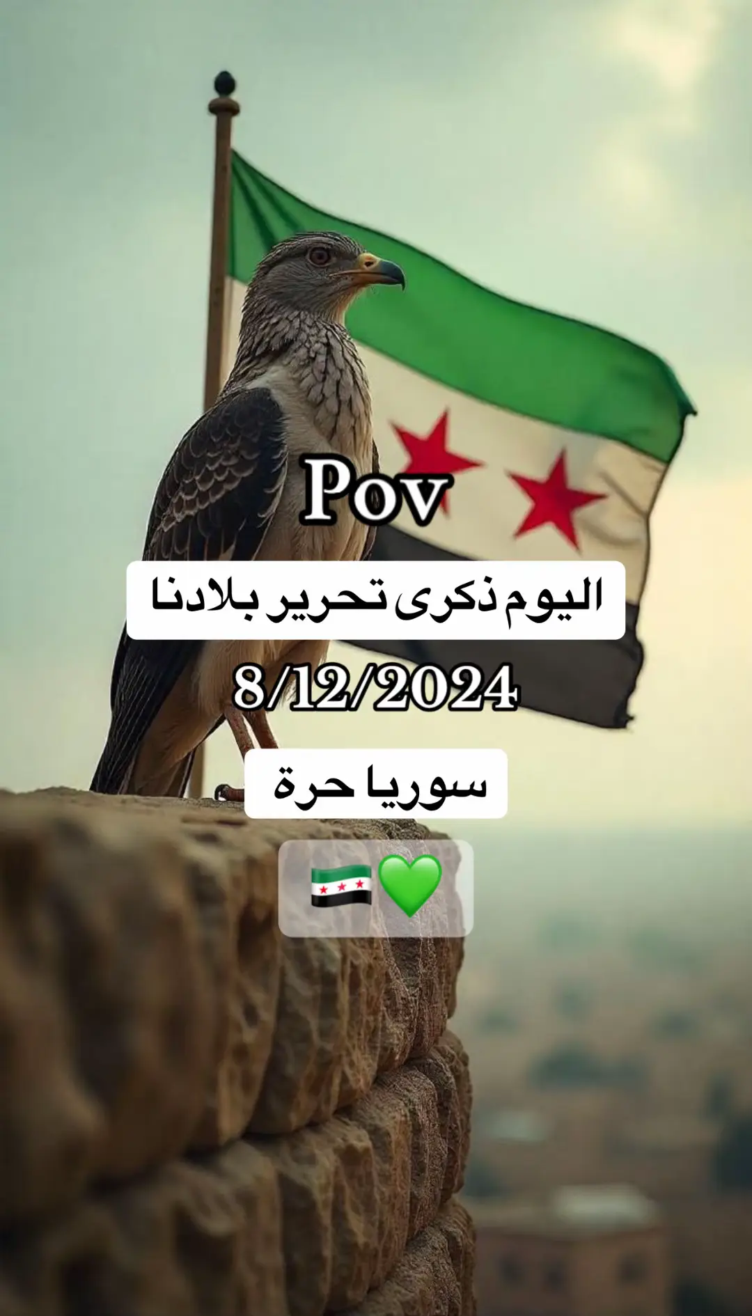 #سوريا #تحرير_سوريا #ذكرى #التحرير #سوريا_حرة 