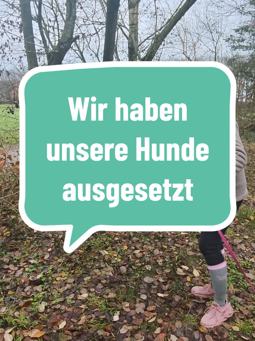 Wie kann man nur⁉️ TIERE AUSSETZEN IST STRAFBAR‼️ Wenn Tiere dann auch noch sterben, ist es Tierquälerei ‼️ Schäm dich‼️ #aliciasmumlife #influencer #tierquälerei #influencernews #tierschutz 