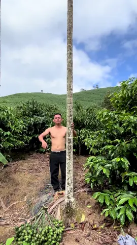 Cố gắng từng ngày cho đời bớt khổ 😜😜