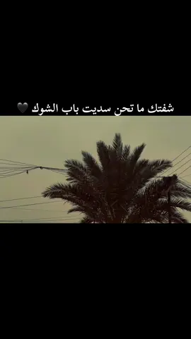 شفتك ما تحن سديت باب الشوك 💔🖤😌#تصويري_احترافي_الاجواء👌🏻🕊وتبقى #اذا_اعجبك_الفيدو_متابعه_اكسبلور #اعادة_النشر🔃  @حٌيِّدِر آلَعٌآبِدِيِّ  @مصطفى  (✪‿✪) 