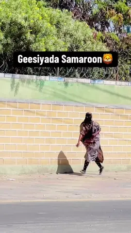 🦁🦁🦁🦁🦁.      #Awdalforsomalia #somalitiktok #boramatiktok #awdalstate💙🤍 #fyp 