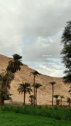 #قرية_الهمامية_مركز_البداري_اسيوط #البداري_محافظه_أسيوط #البداري_يـاخـــــــال #صعيدي_ياخال_والاسم_لوحدو_مواااال #اسيوط_سوهاج_قنا_الاقصر_اسوان_المنيا 