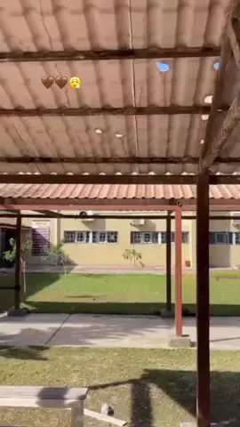 علومنــا 😮‍💨🤎🤎 #كليةالعلوم #زليتن_ليبيا_زليتن_وأحلى_زليتن #تيك_توك_عرب #الشعب_الصيني_ماله_حل😂😂🙋🏻‍♂️ 