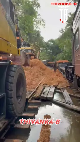 අපේ කොල්ලෝ බරටම වැඩ පටන් අරන් පට්ටම Respect All Srilankans #thivankab #trend #creatorsearchinsight #creators #1millionaudition 