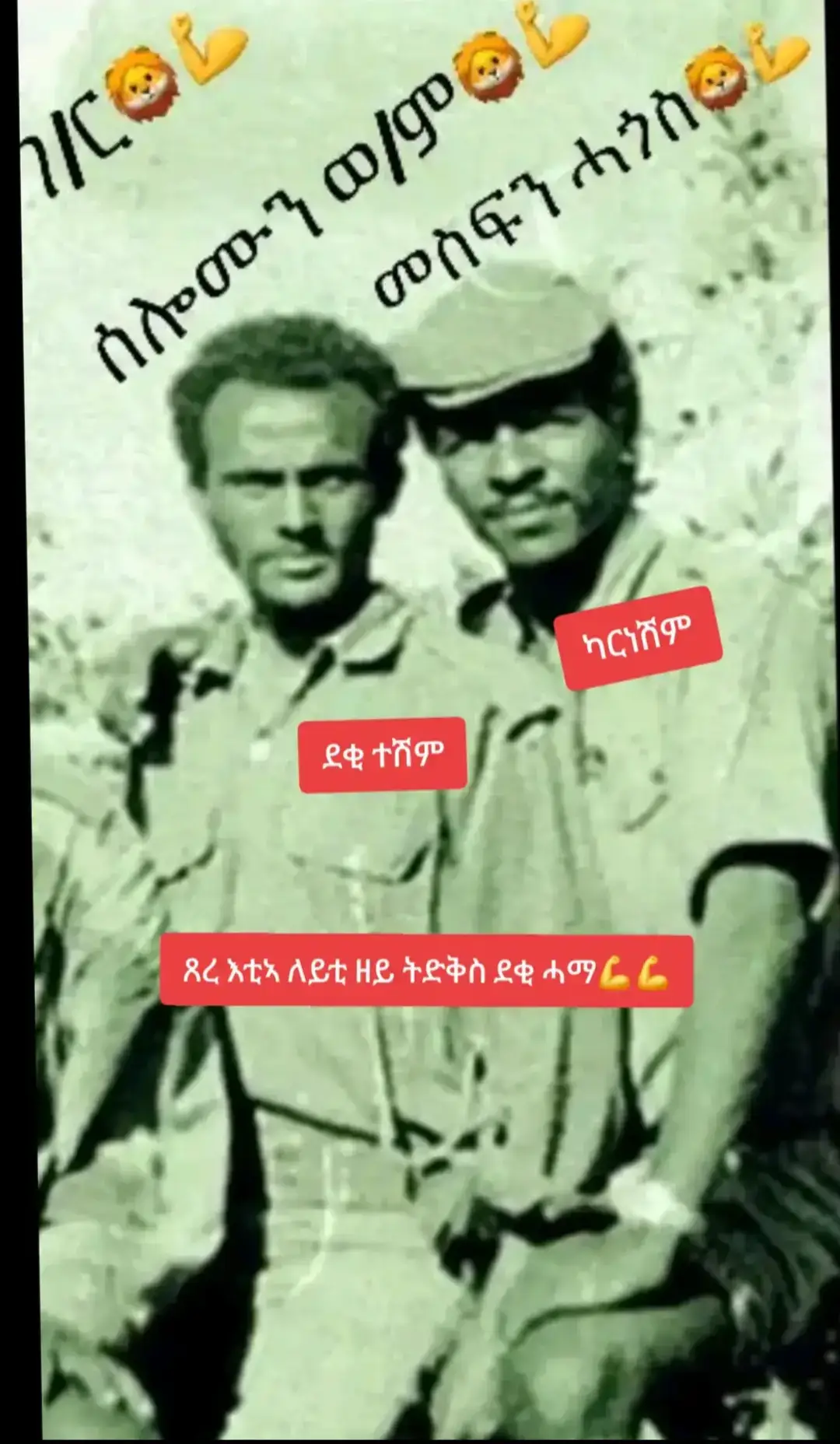 wedi Hagos Arha 🦁🦁