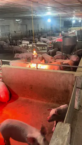 Lạnh tốn điện quá ạ . 