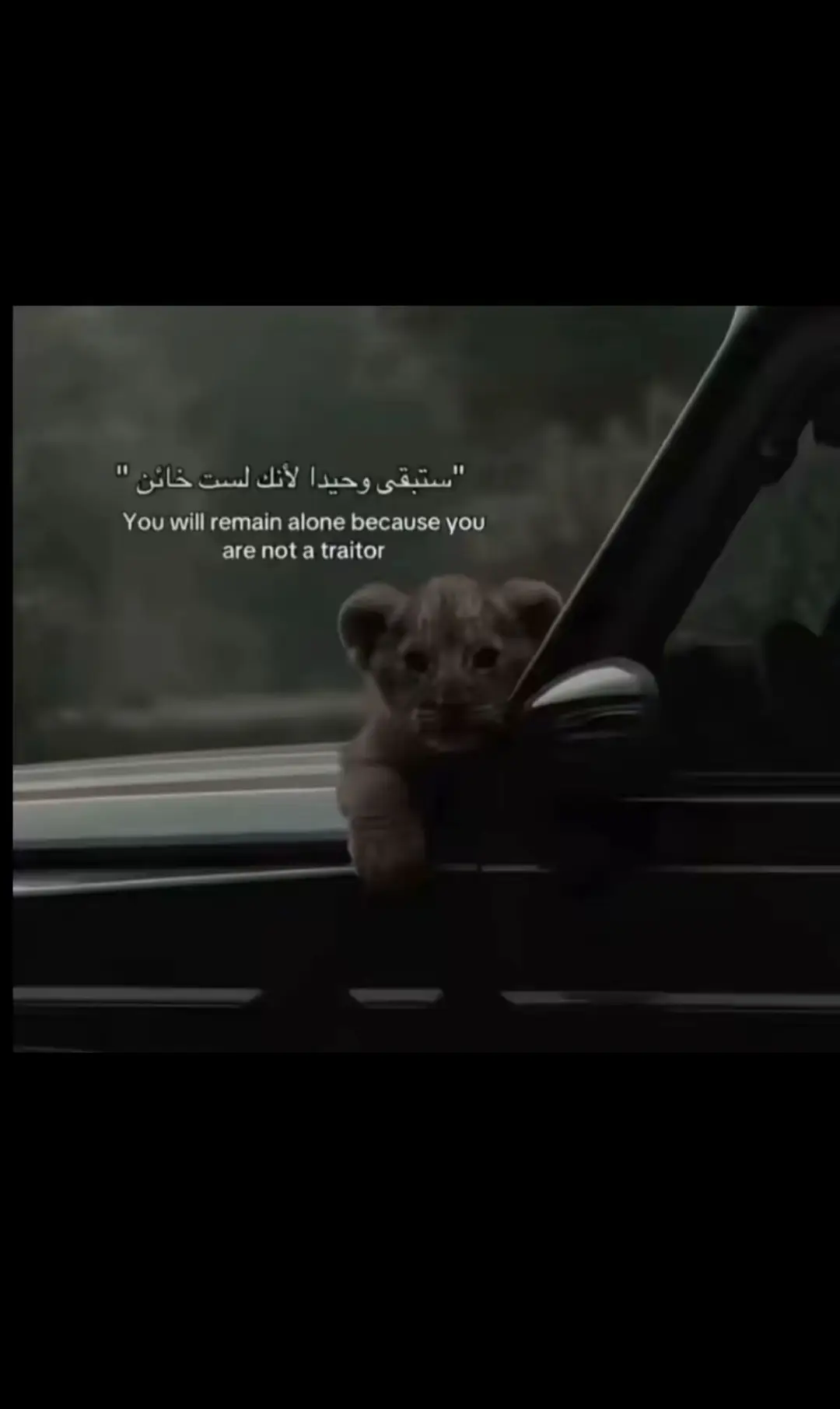 #مجرد________ذووووووق🎶🎵💞 #