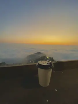 đi 3 lần mới bắt gặp khoảnh khắc 😍 #tamdao 