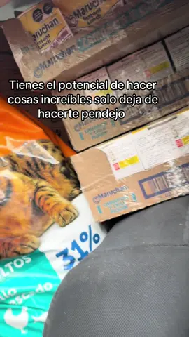 De mí, para mí.  #emprendimiento #tiendadeabarrotes #tiendasmexico #fyp #motivacion 