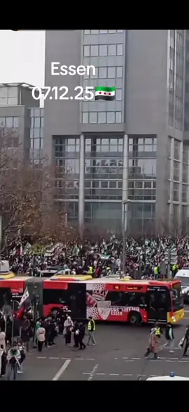 Die Syrer feiern den Jahrestag der Befreiung Syriens.#syria🇸🇾 #essen #ساروت 