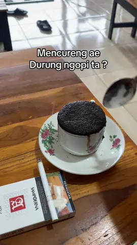 Dikopeni disik jie☕️🙌🏻#baureno #warkopangkringanem #ses #kopag 