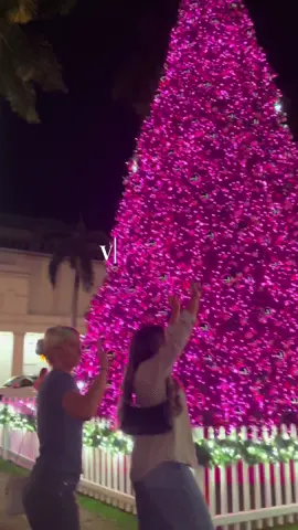 Super fun day😆😆 #Vlogmas #diml #bocaraton #aesthetic #christmas 